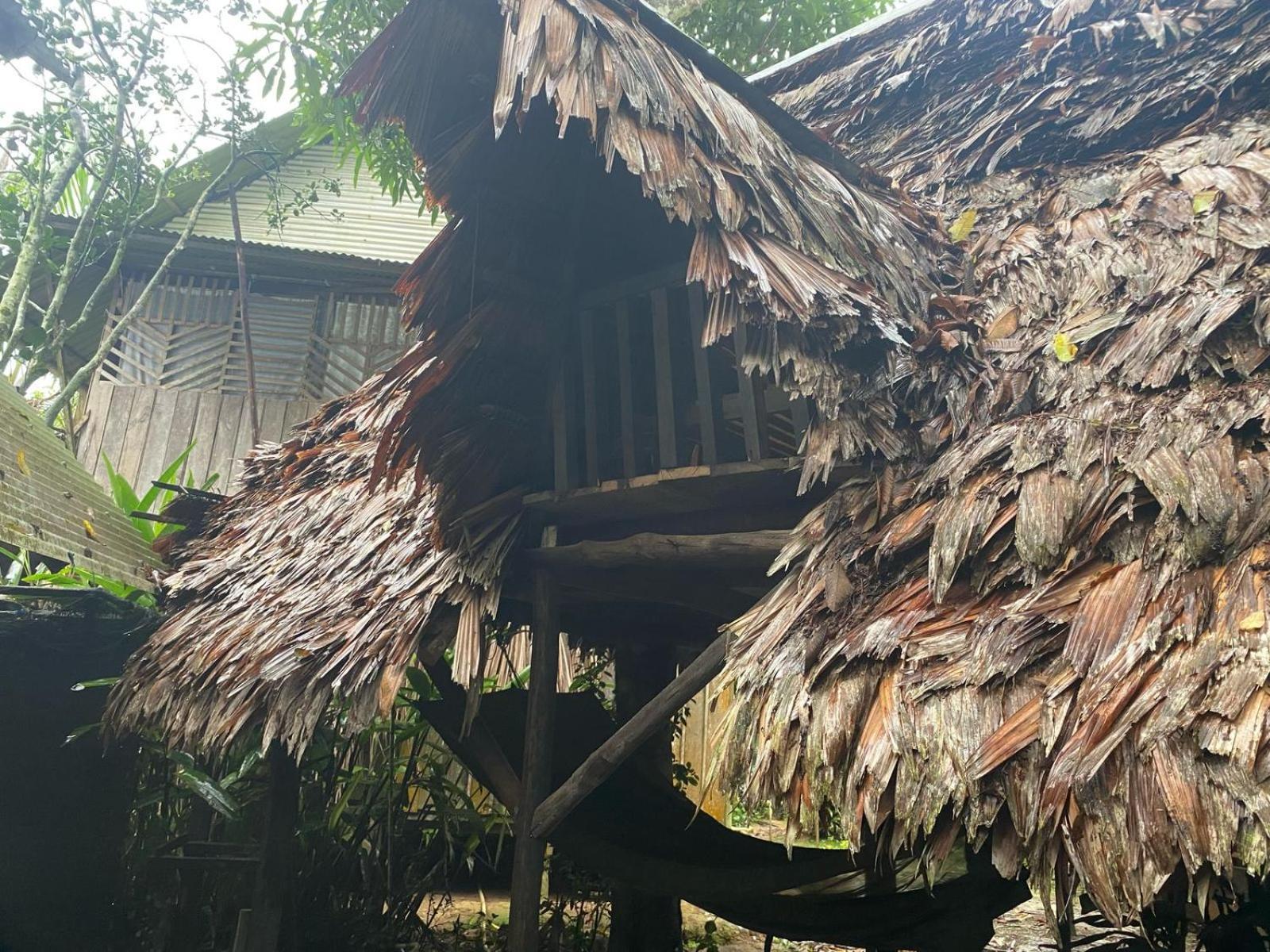 Xingu Camping Site Leticia Exteriör bild