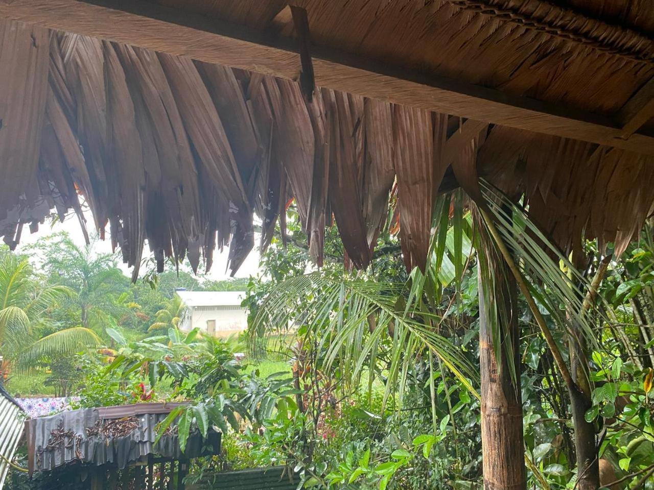 Xingu Camping Site Leticia Exteriör bild