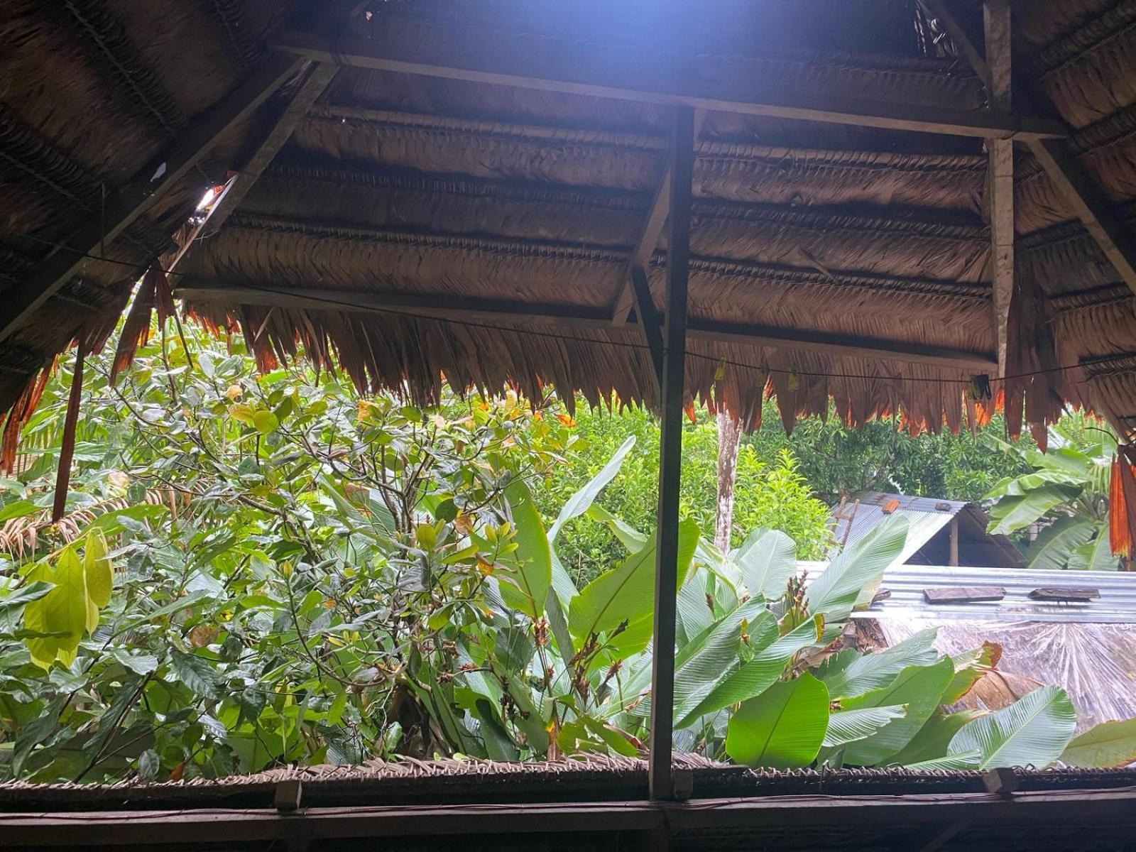 Xingu Camping Site Leticia Exteriör bild
