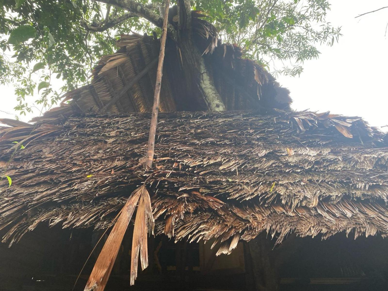 Xingu Camping Site Leticia Exteriör bild