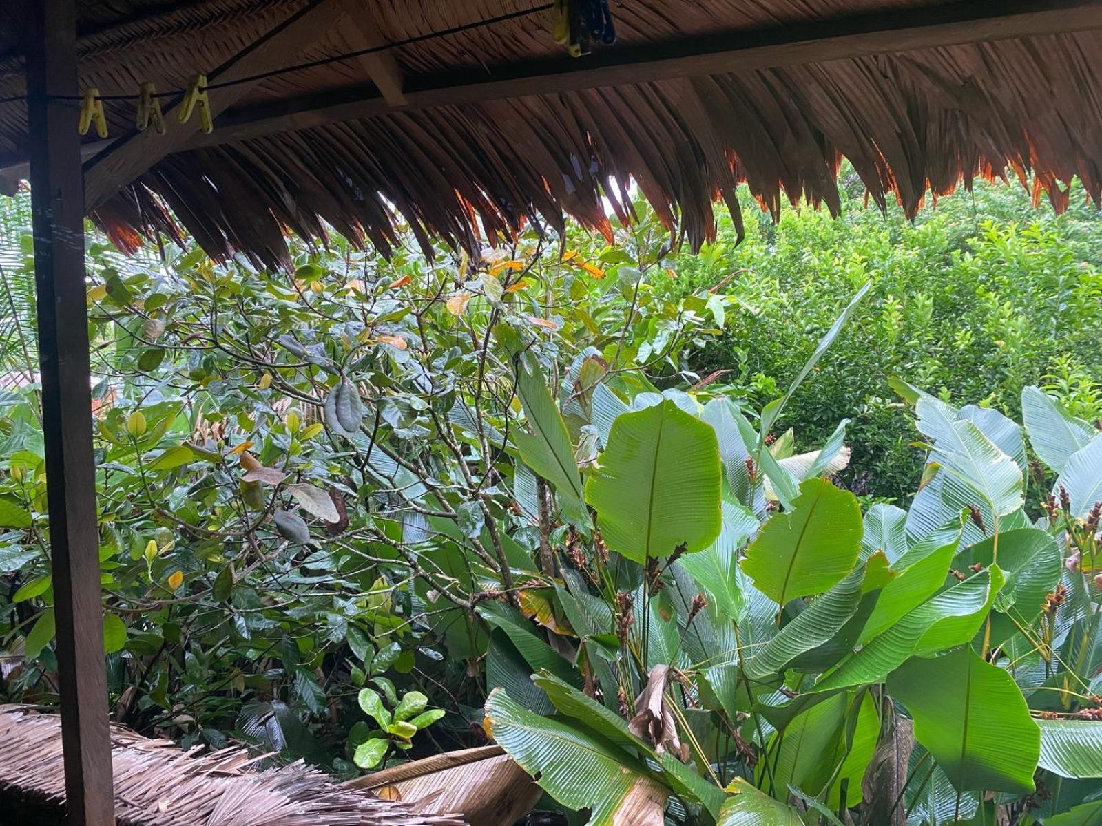 Xingu Camping Site Leticia Exteriör bild