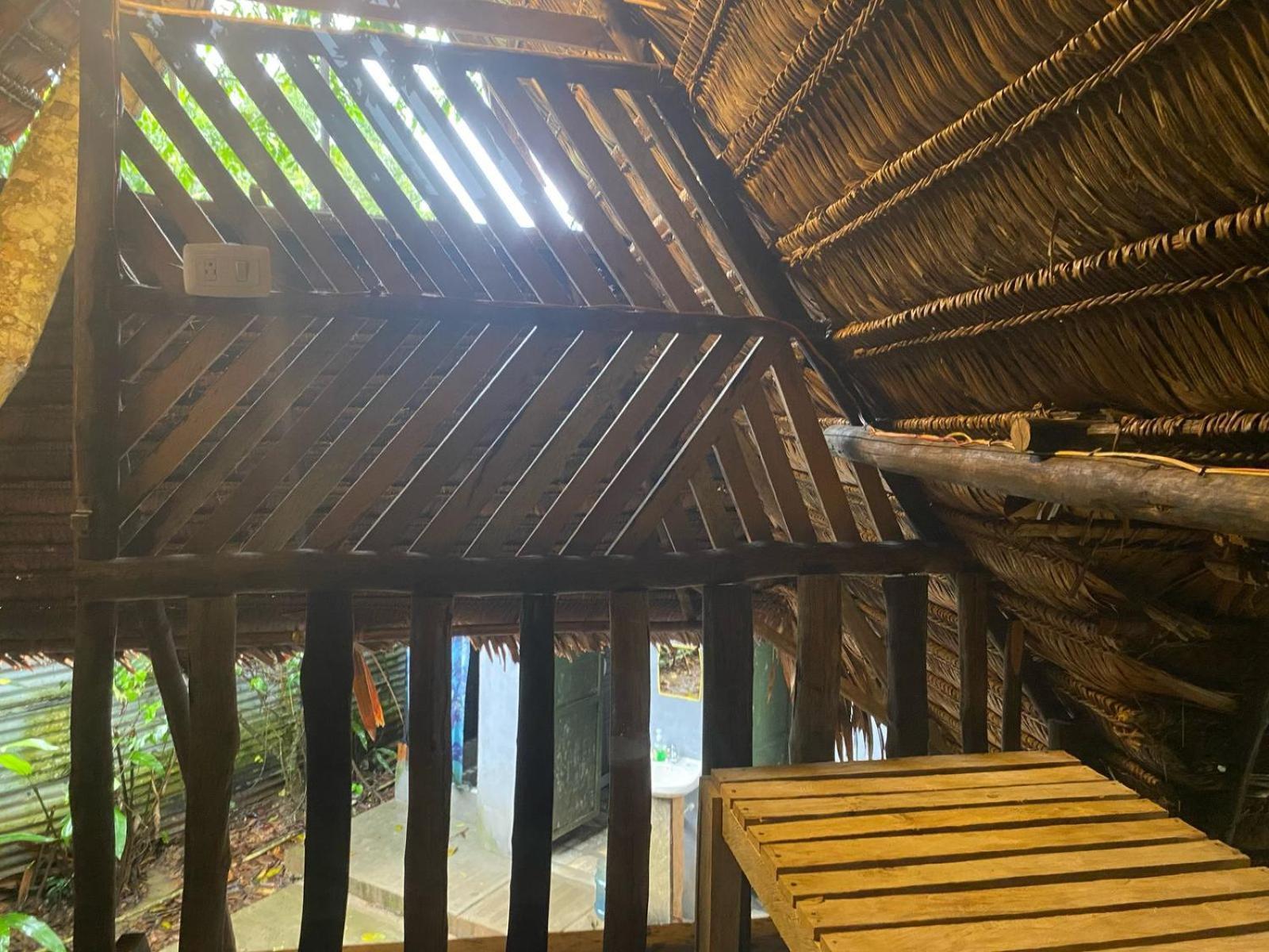 Xingu Camping Site Leticia Exteriör bild
