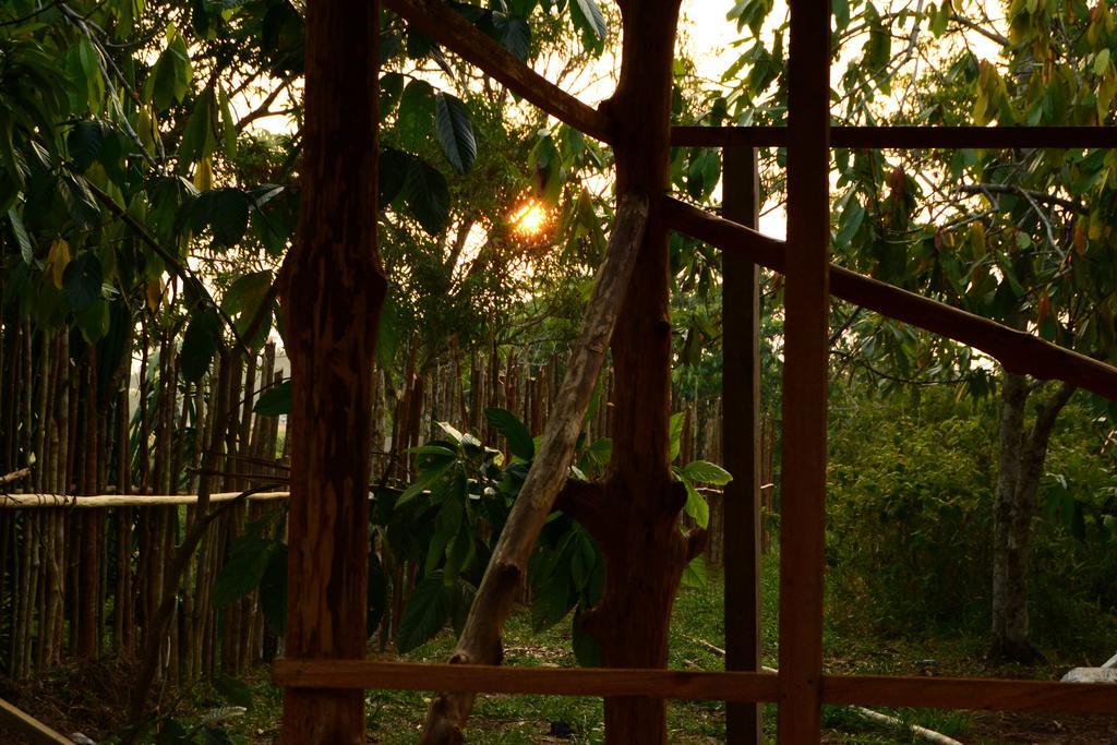 Xingu Camping Site Leticia Exteriör bild