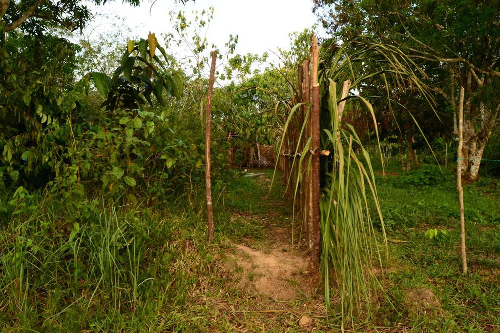 Xingu Camping Site Leticia Exteriör bild