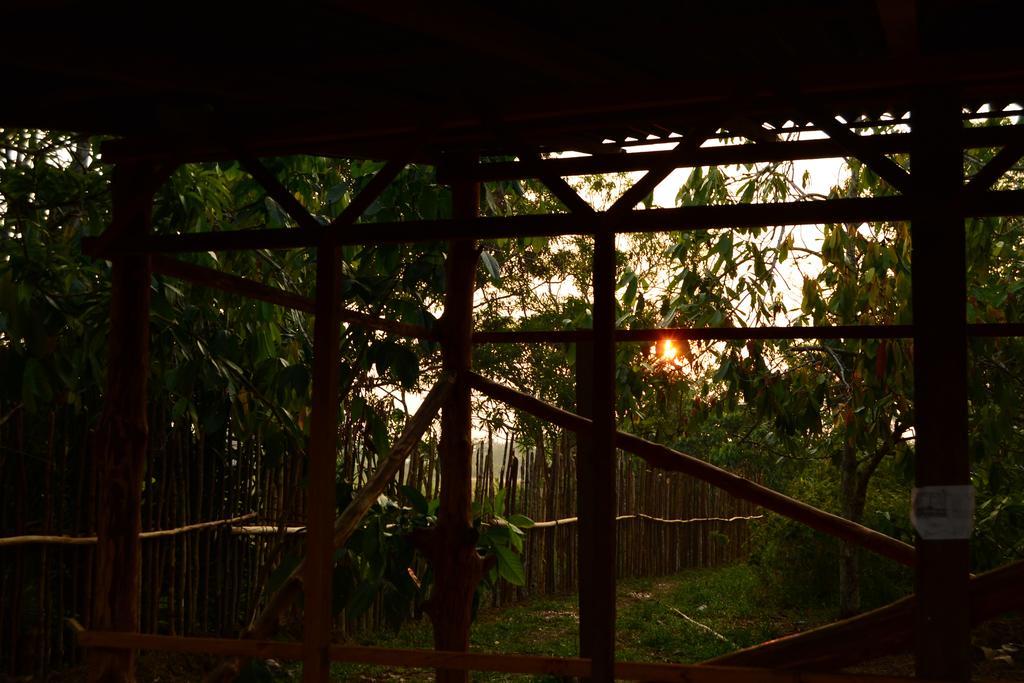Xingu Camping Site Leticia Exteriör bild