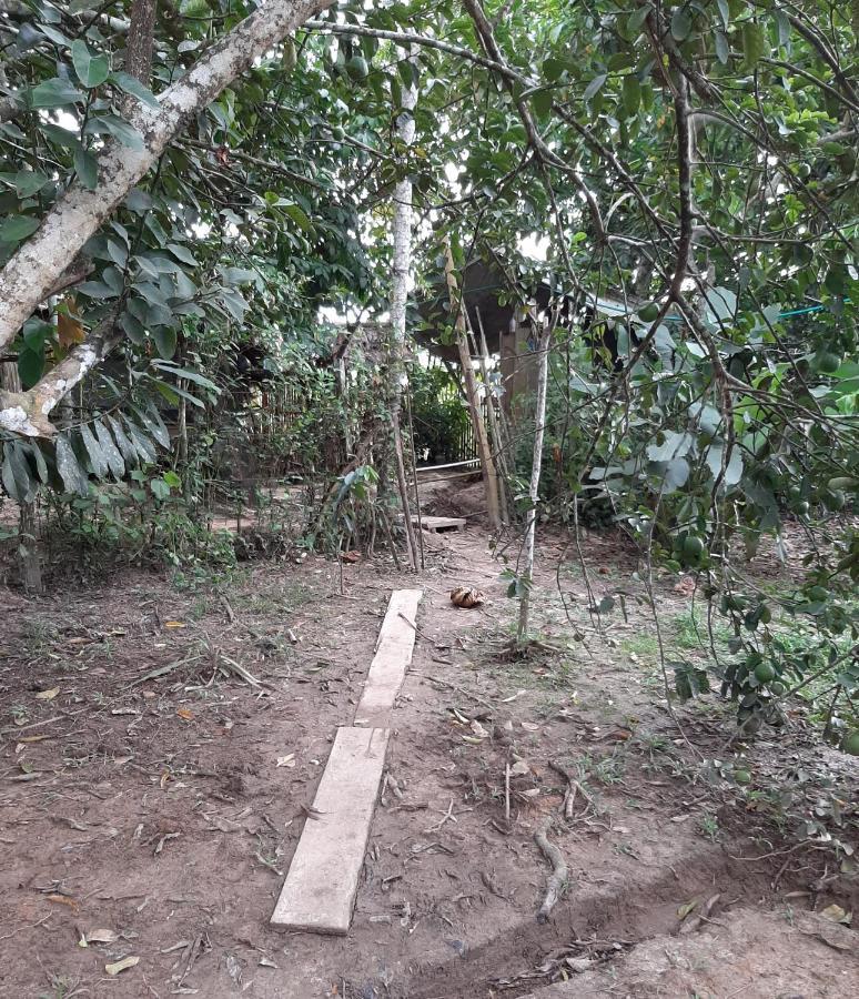 Xingu Camping Site Leticia Exteriör bild