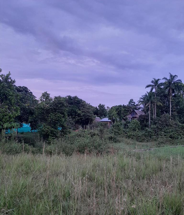 Xingu Camping Site Leticia Exteriör bild