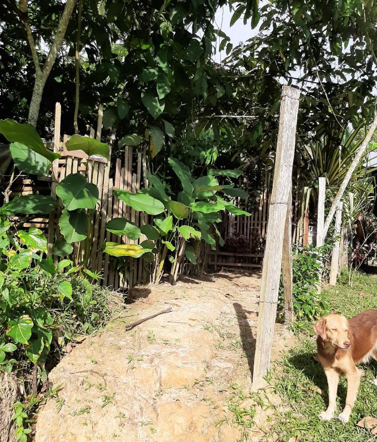 Xingu Camping Site Leticia Exteriör bild