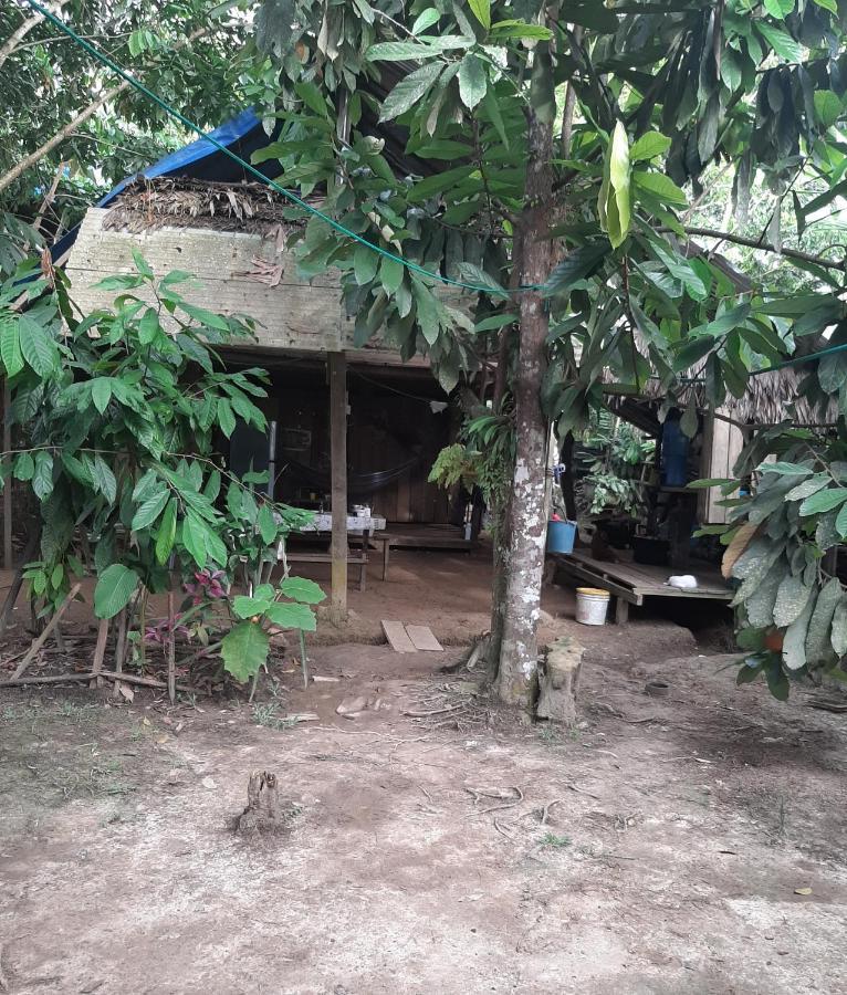 Xingu Camping Site Leticia Exteriör bild